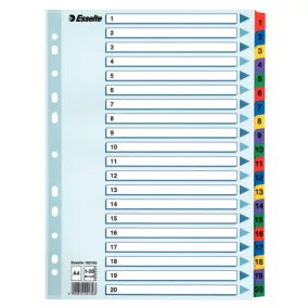 Regiszter Ess 100163 A/4 1-20-ig mylar