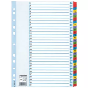 Regiszter Ess 100164 A/4 1-31-ig mylar