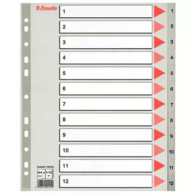 Regiszter Ess 100125 A/4 1-12-ig műa.Maxi