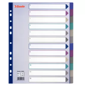 Regiszter Ess 20649 A/4 Maxi műa.színes 12részes