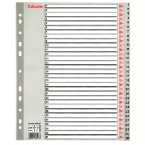 Regiszter Ess 100127 A/4 1-31-ig műa.Maxi